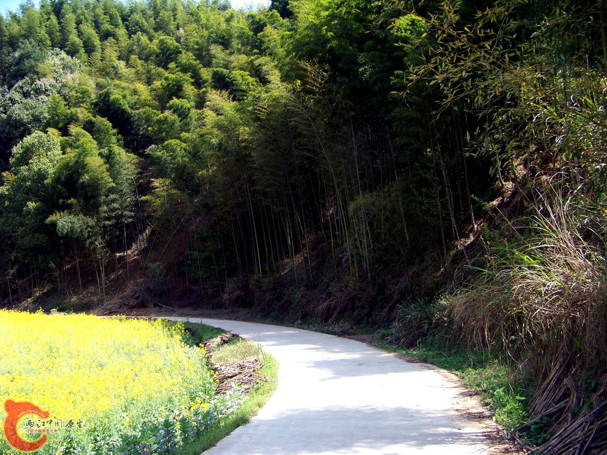 100_0418.jpg