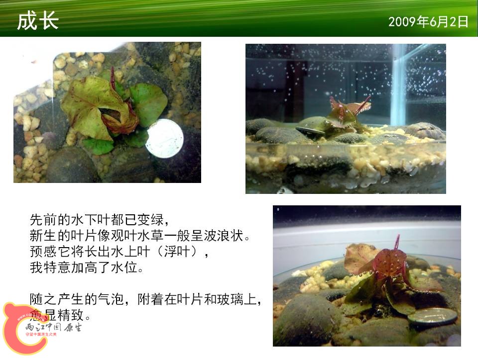 幻灯片13.JPG