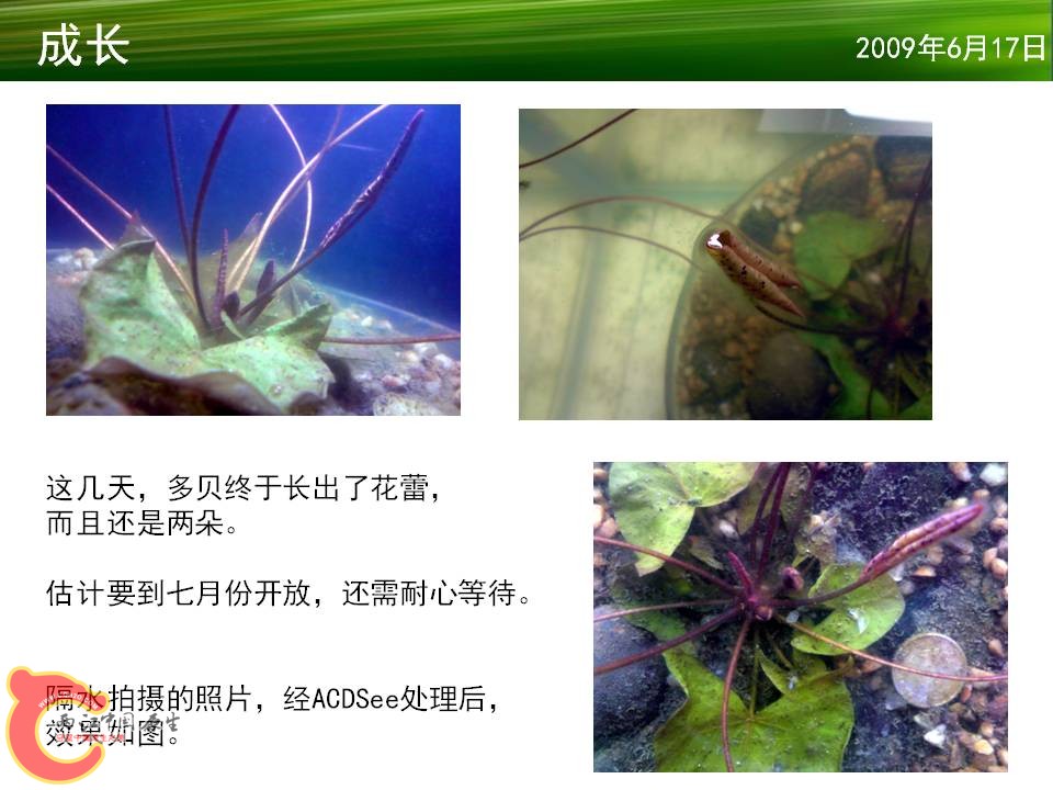 幻灯片18.JPG