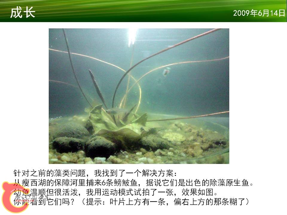 幻灯片17.JPG