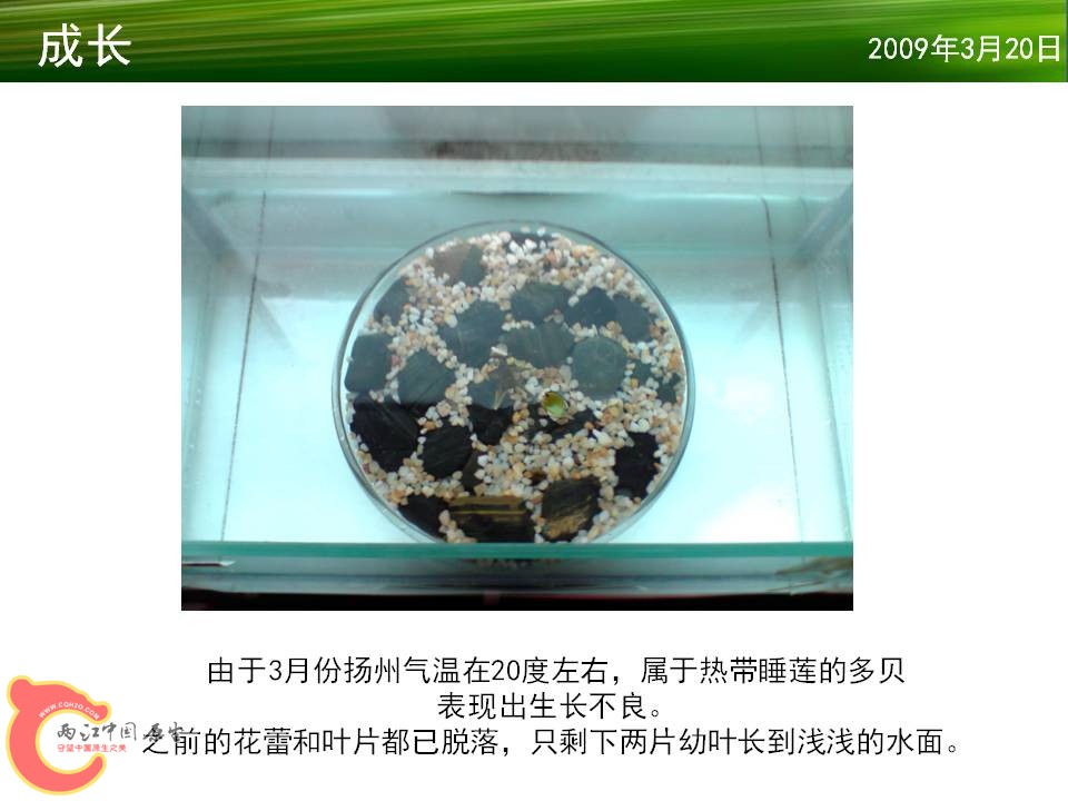 幻灯片9.JPG