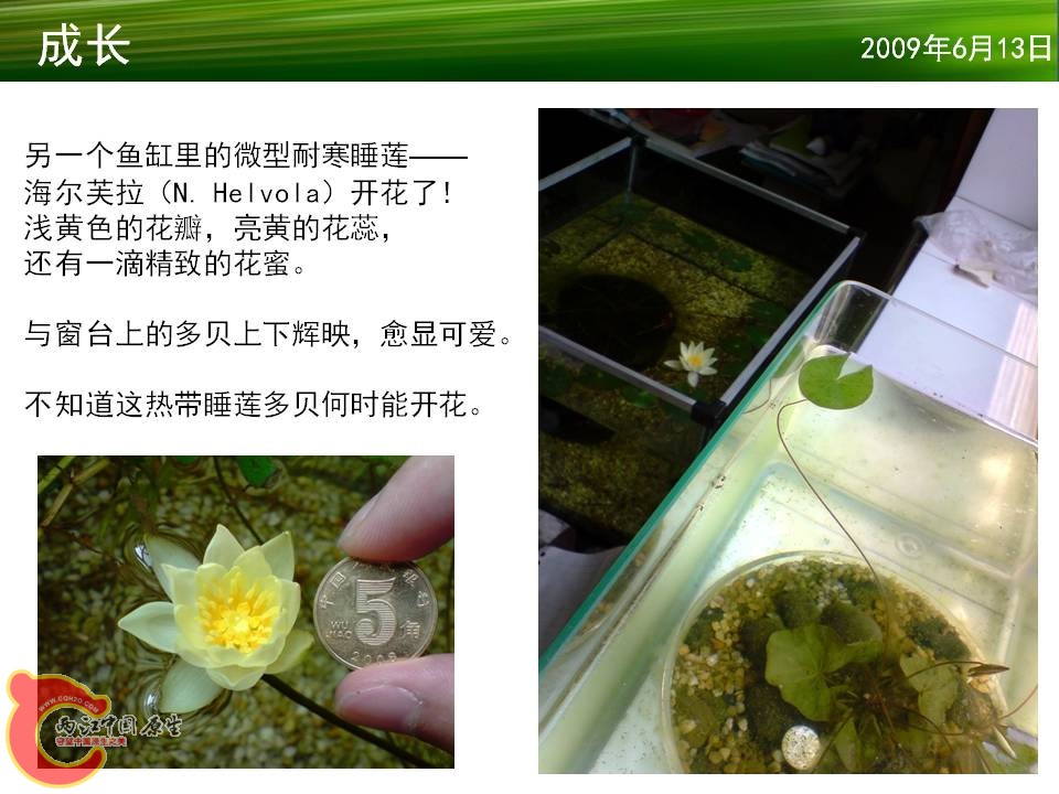 幻灯片16.JPG