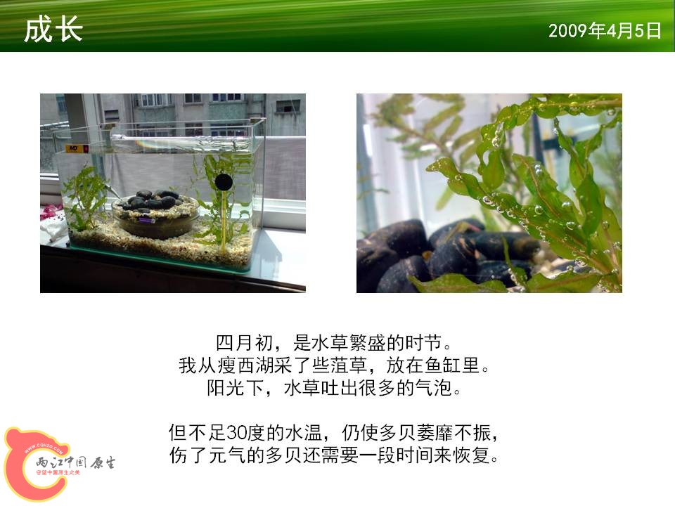 幻灯片10.JPG