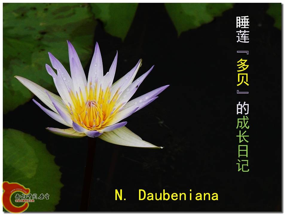 幻灯片1.JPG