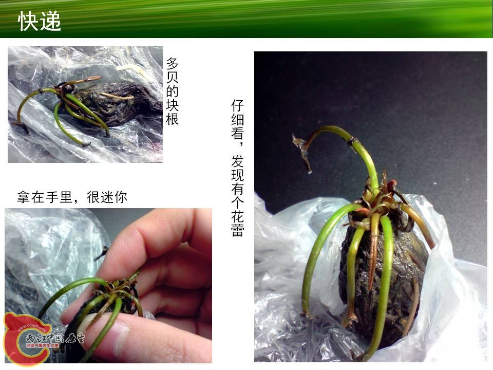 幻灯片4.JPG