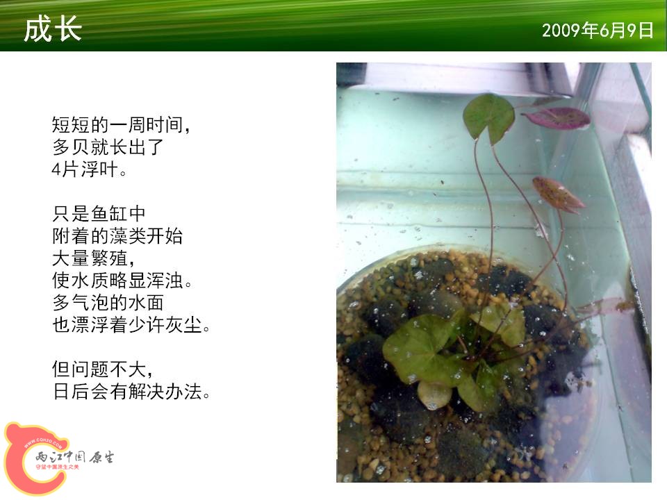 幻灯片14.JPG
