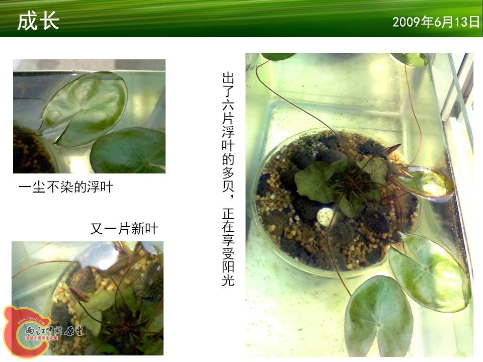 幻灯片15.JPG