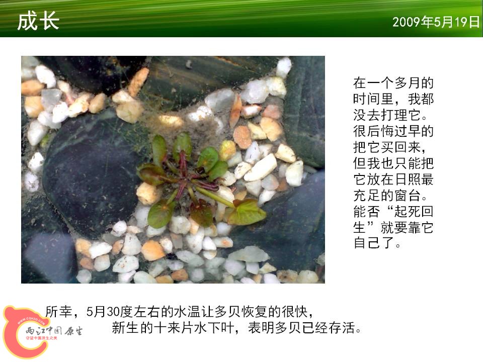 幻灯片11.JPG