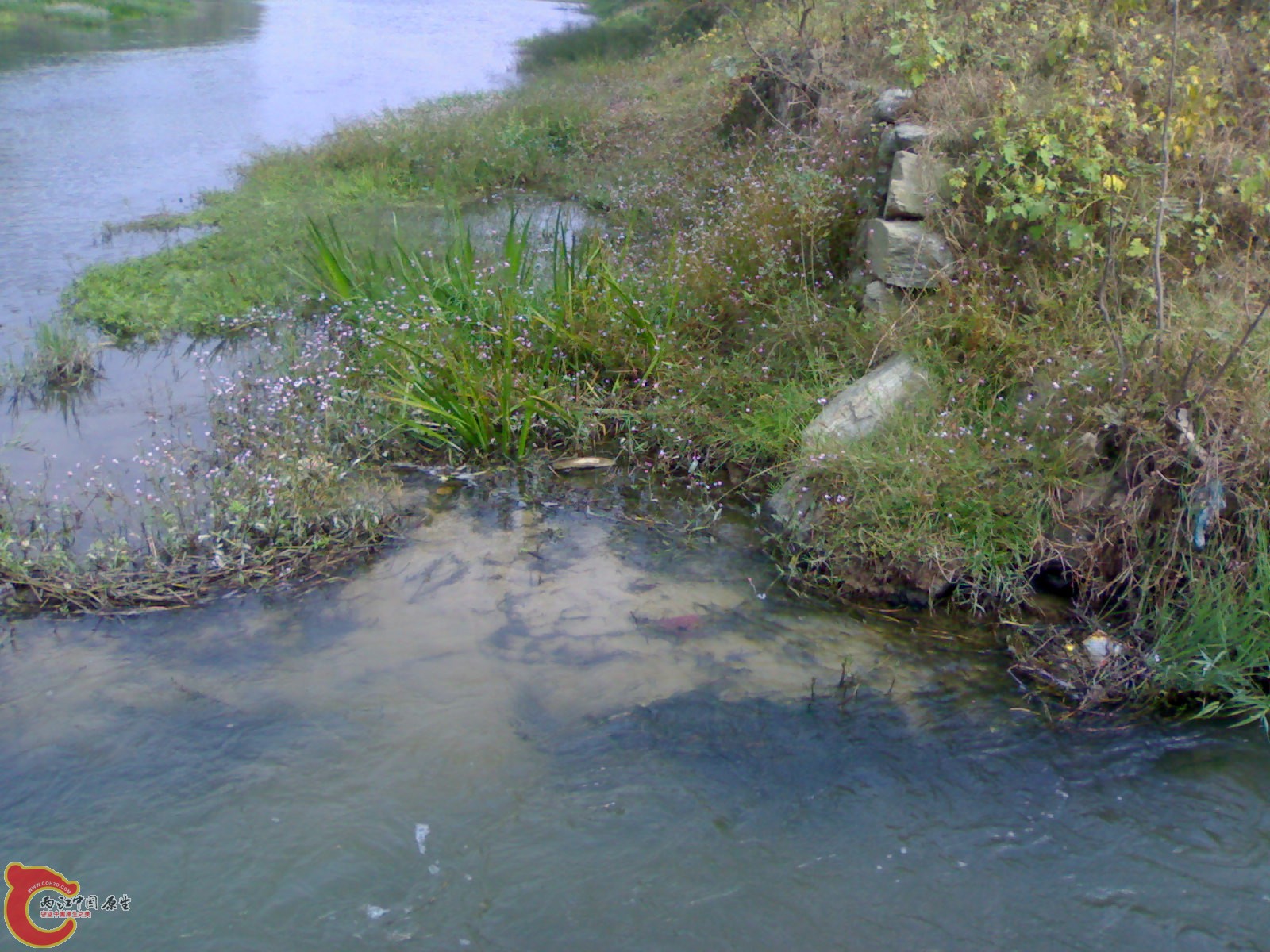 20071016049.jpg