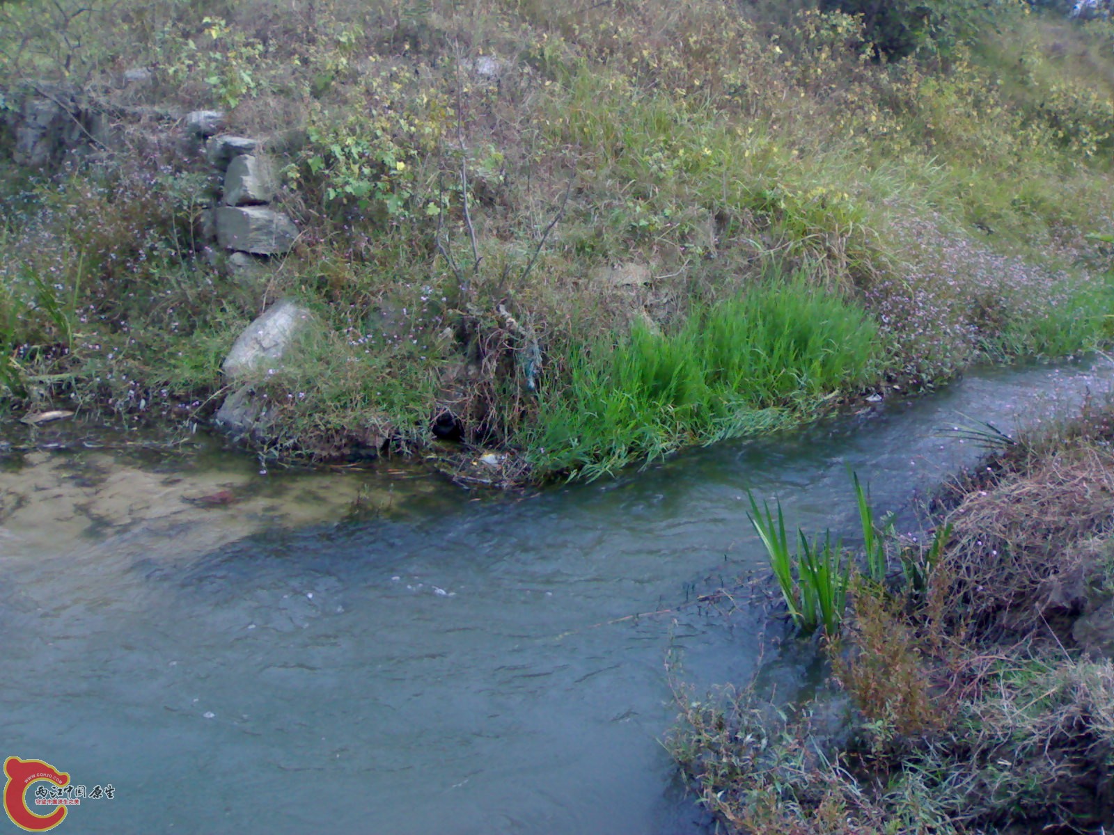 20071016048.jpg