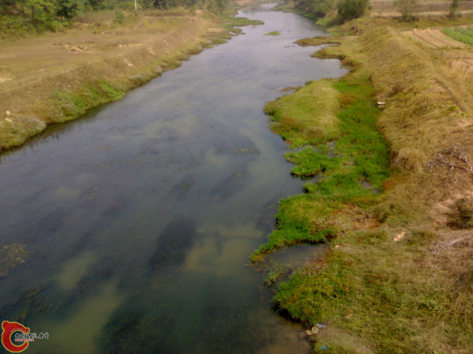 20071016061.jpg