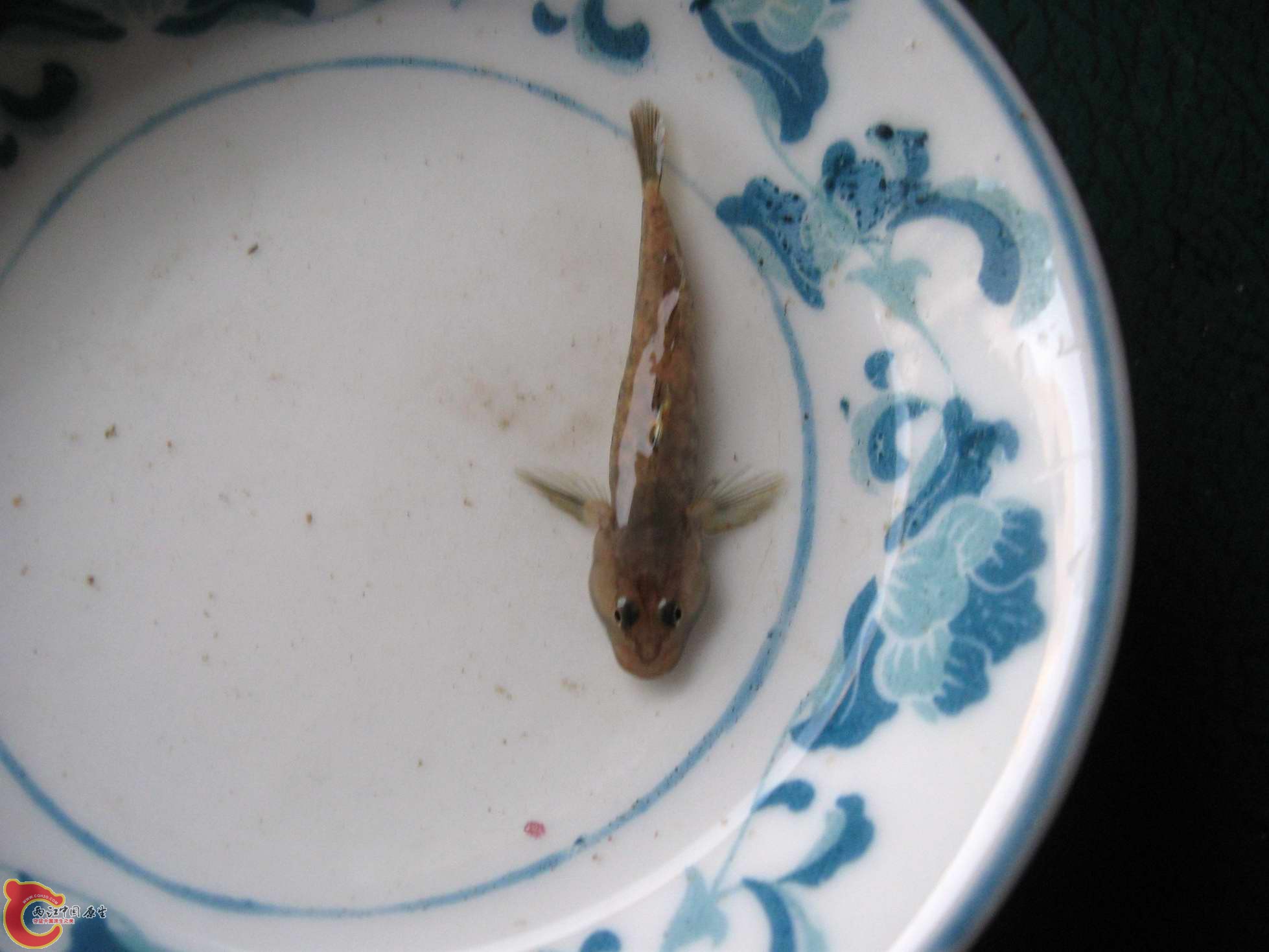 调整大小 照片 035_nEO_IMG.jpg