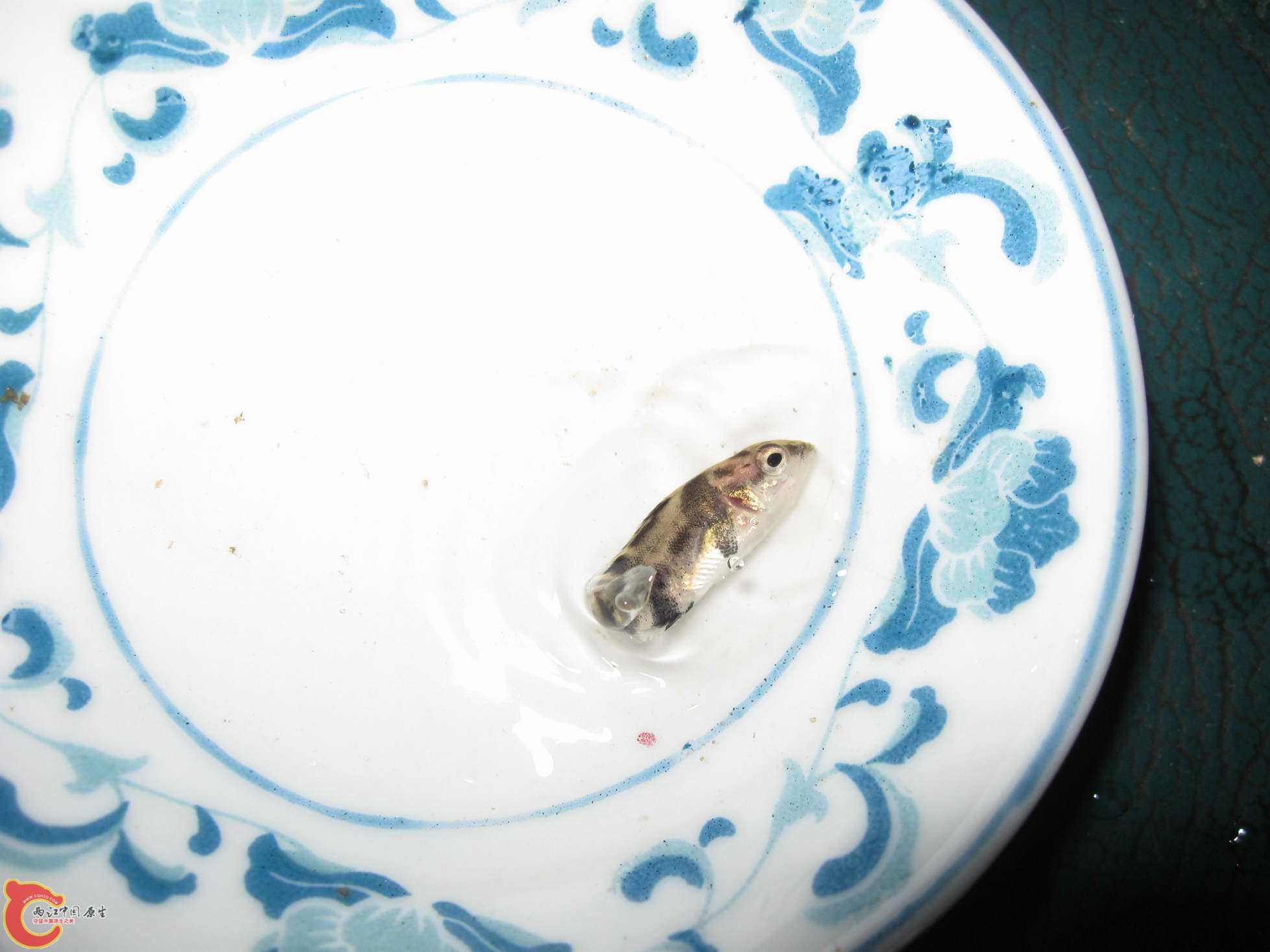 调整大小 照片 031_nEO_IMG.jpg