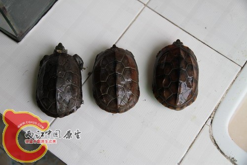 照片 029.JPG