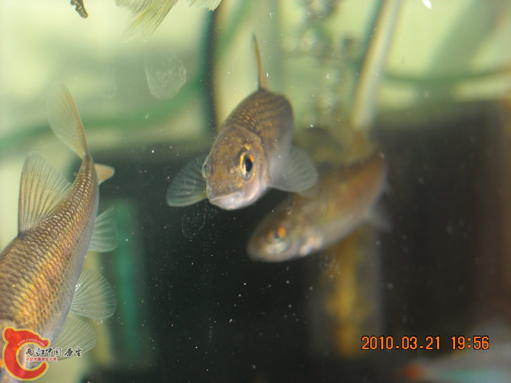 DSCN6510.JPG