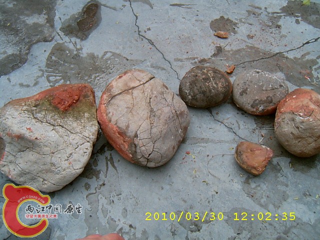 SUC30065.JPG