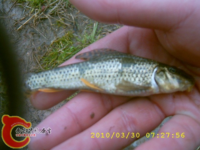 SUC30046.JPG