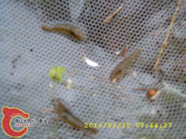 SUC30058.JPG