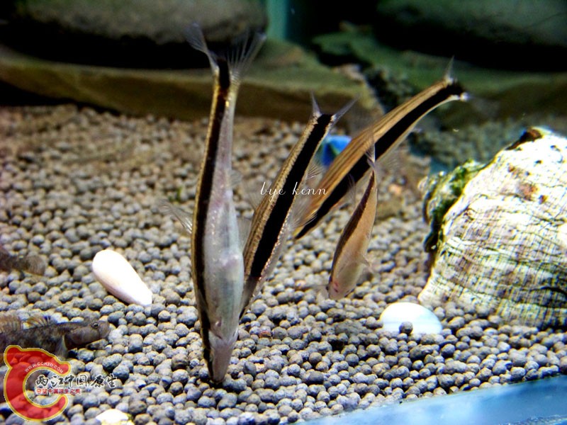 100_0262.jpg