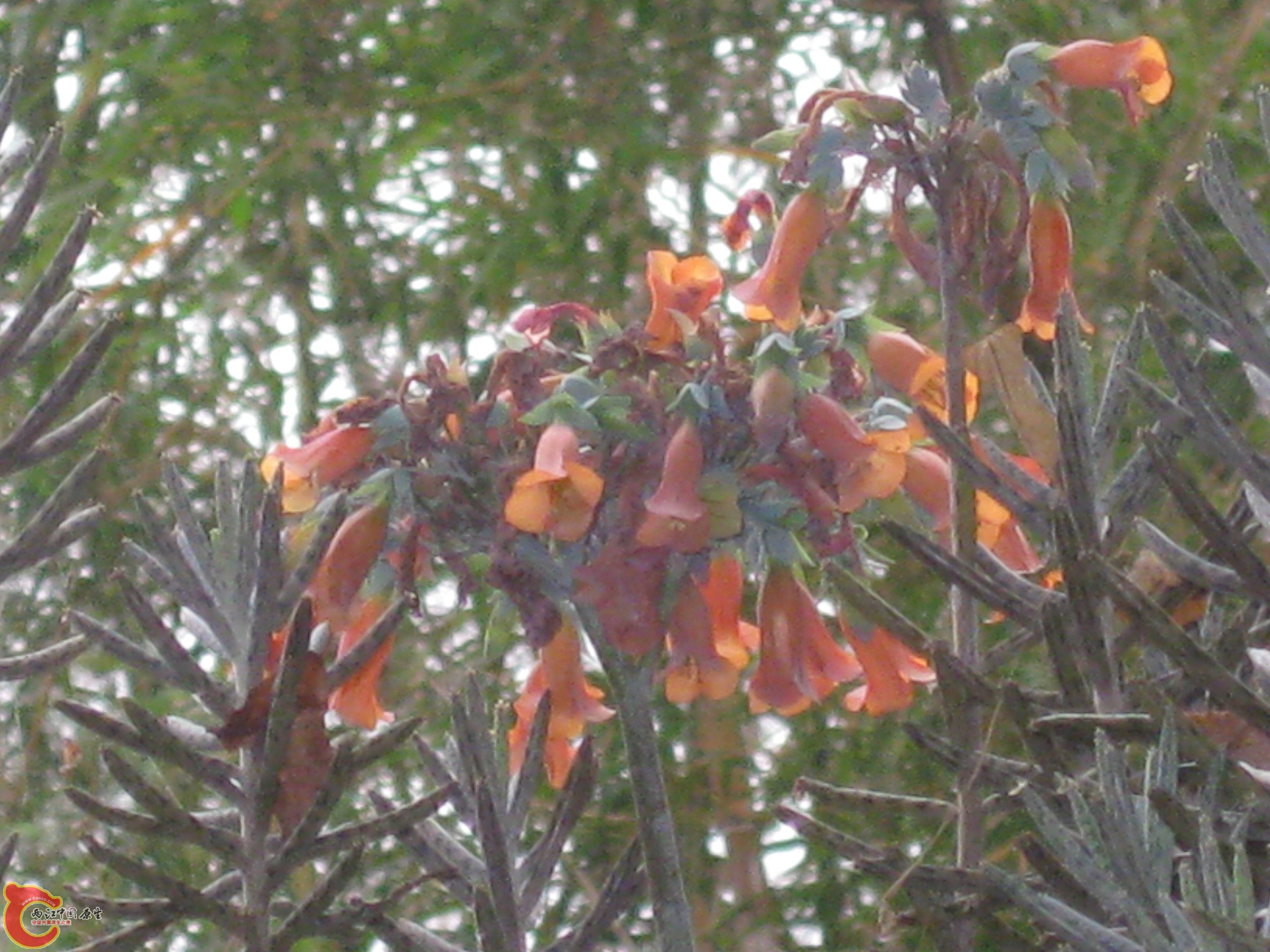 IMG_3194.JPG