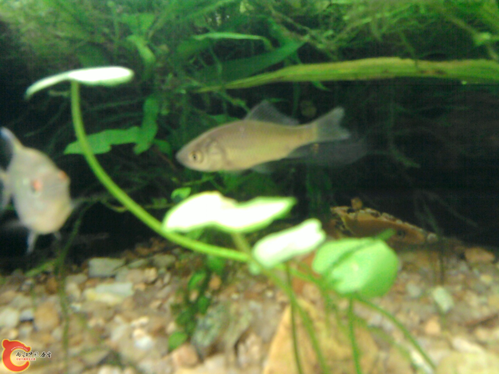 照片0304.jpg
