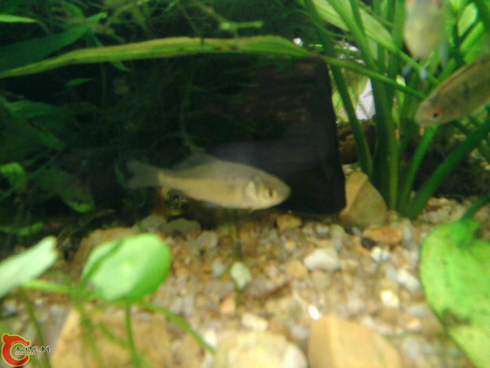 照片0305.jpg