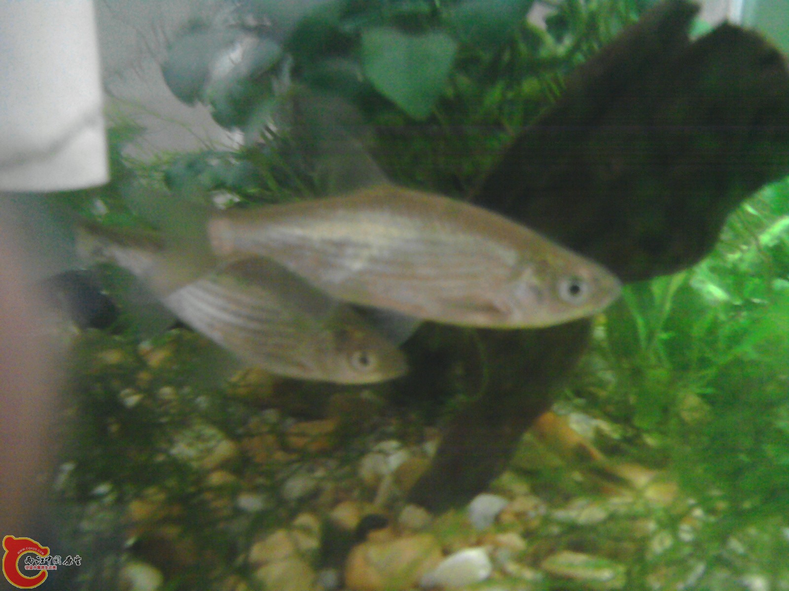 照片0308.jpg