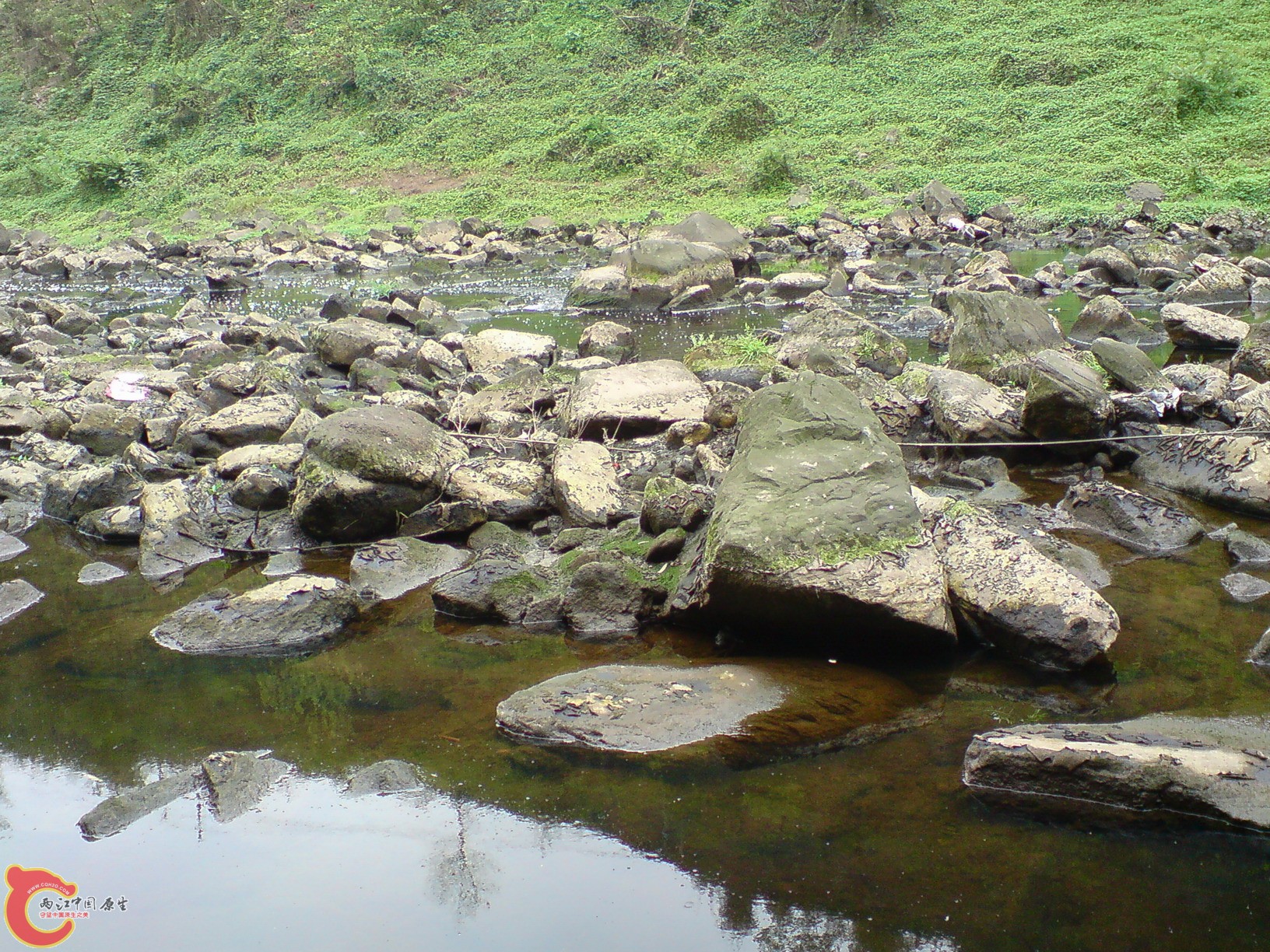 DSC01169.JPG