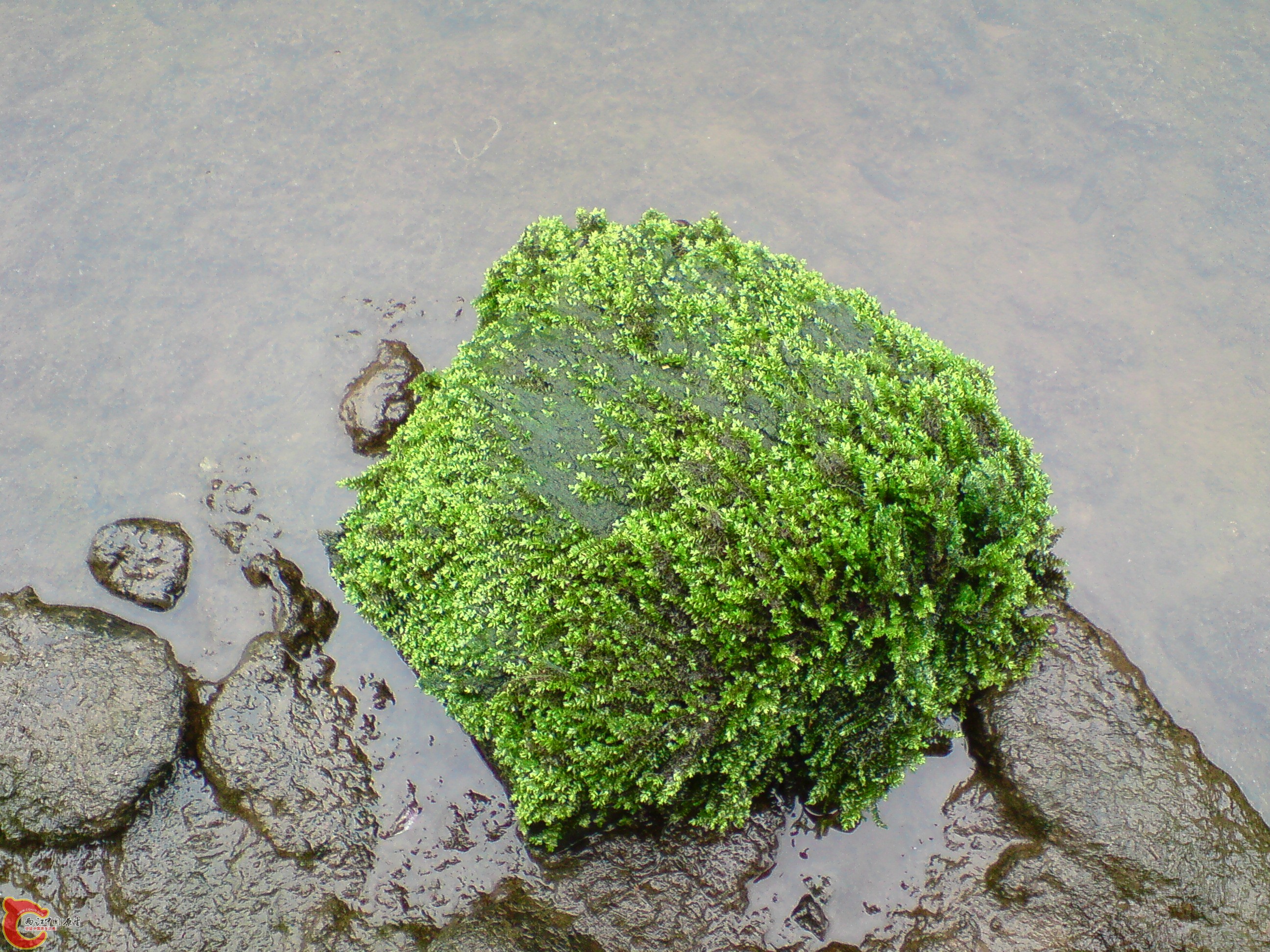 DSC01174.JPG