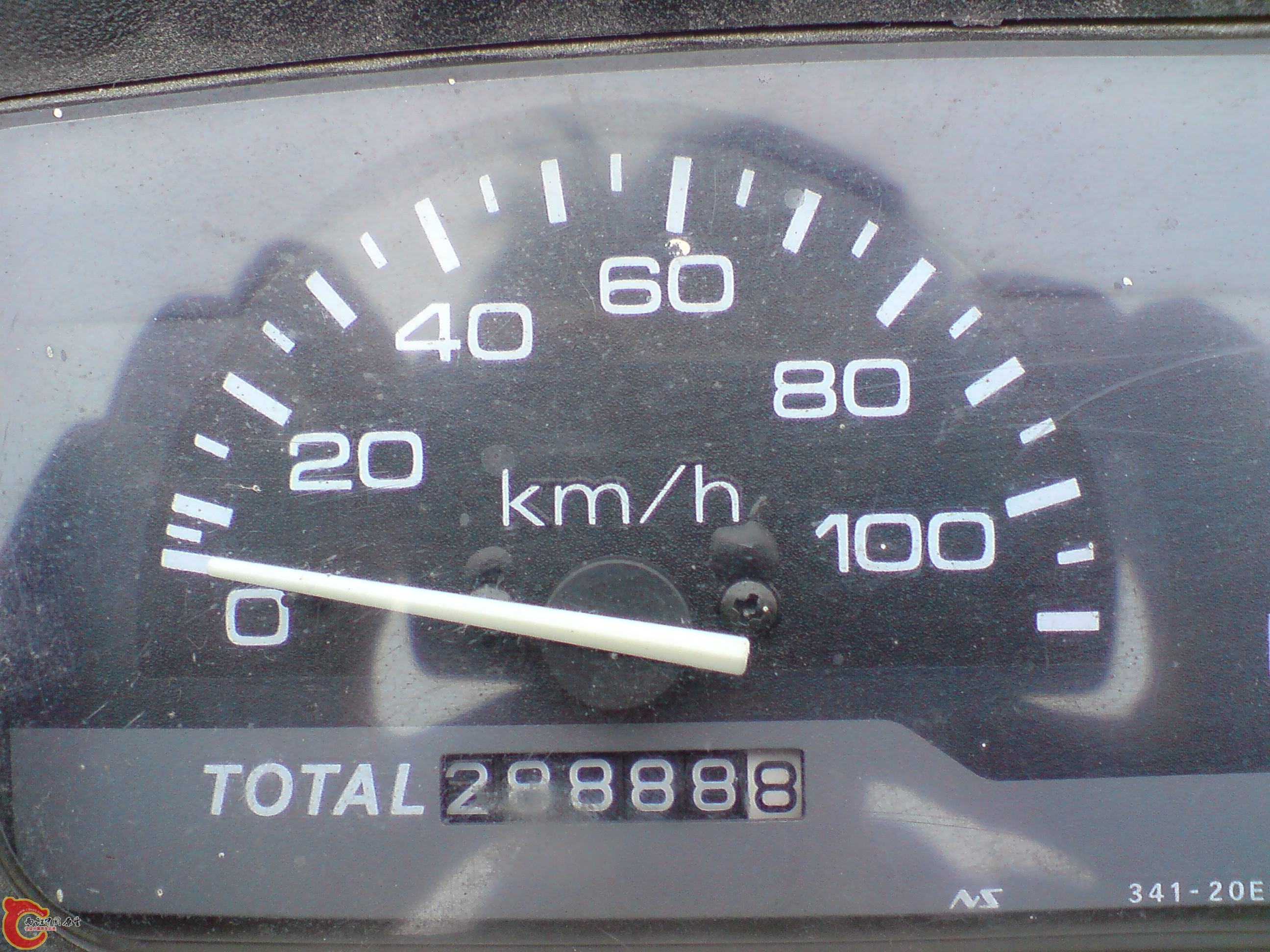 DSC01179.JPG