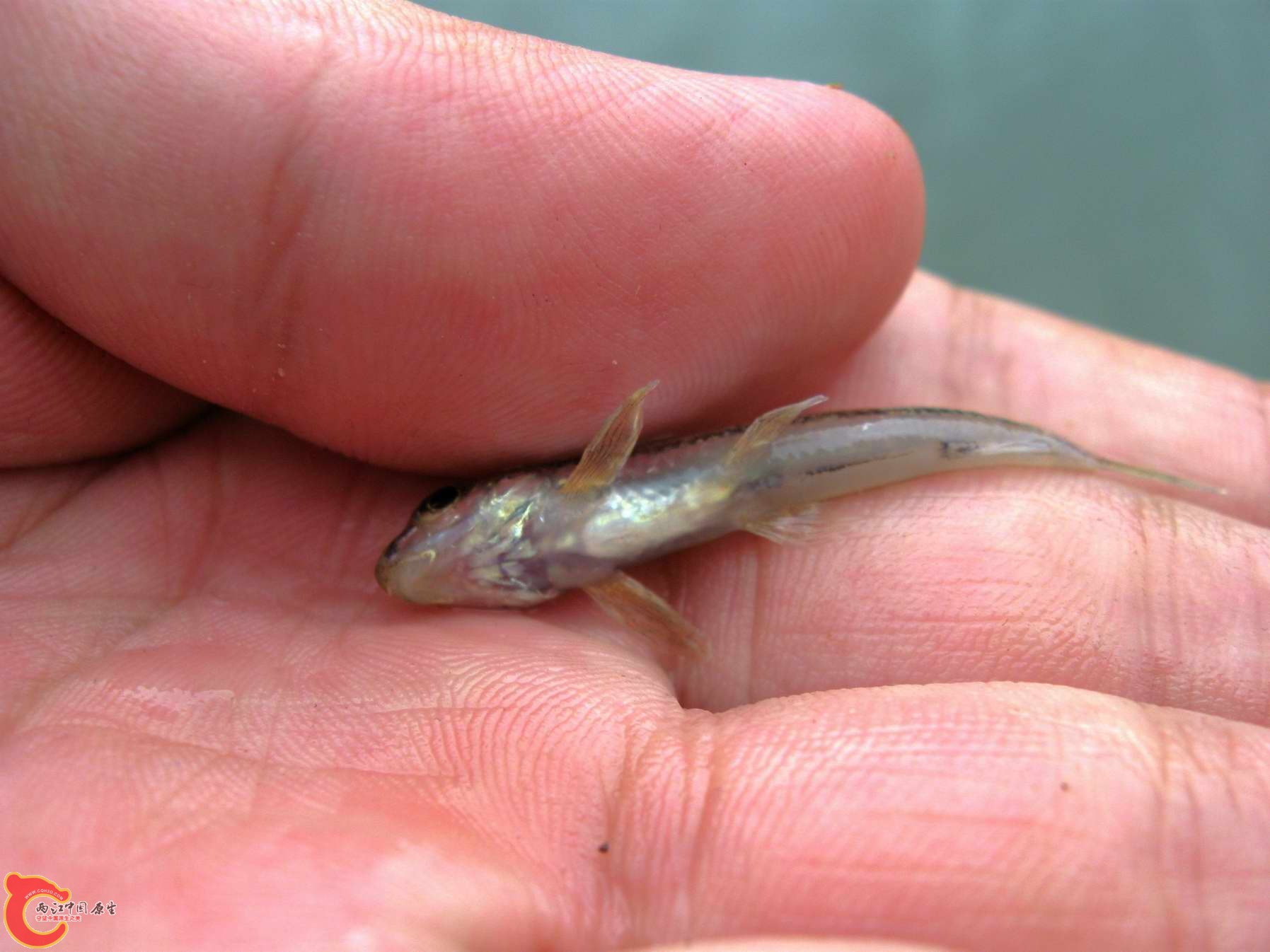 调整大小 照片 038.jpg