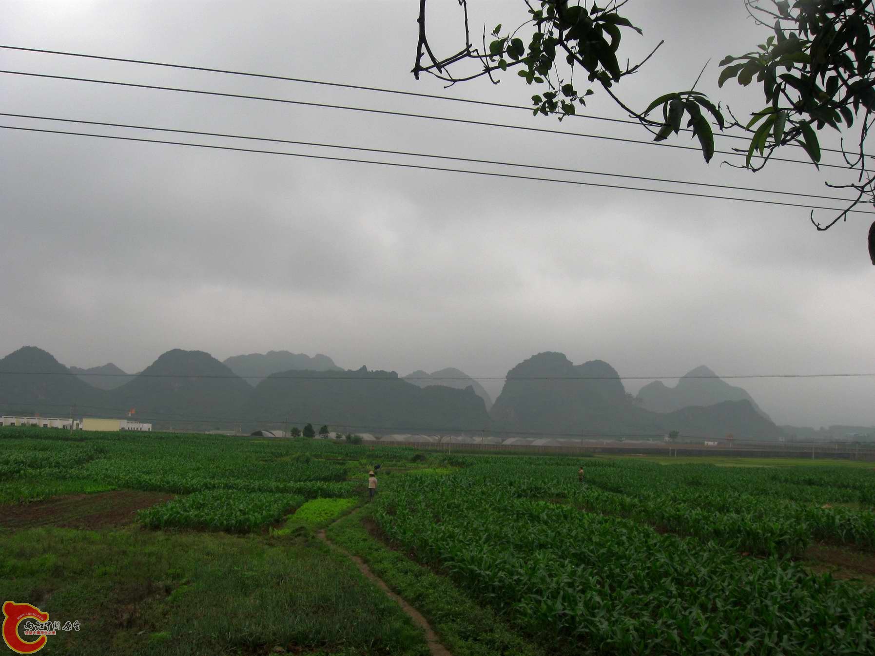 调整大小 照片 066.jpg