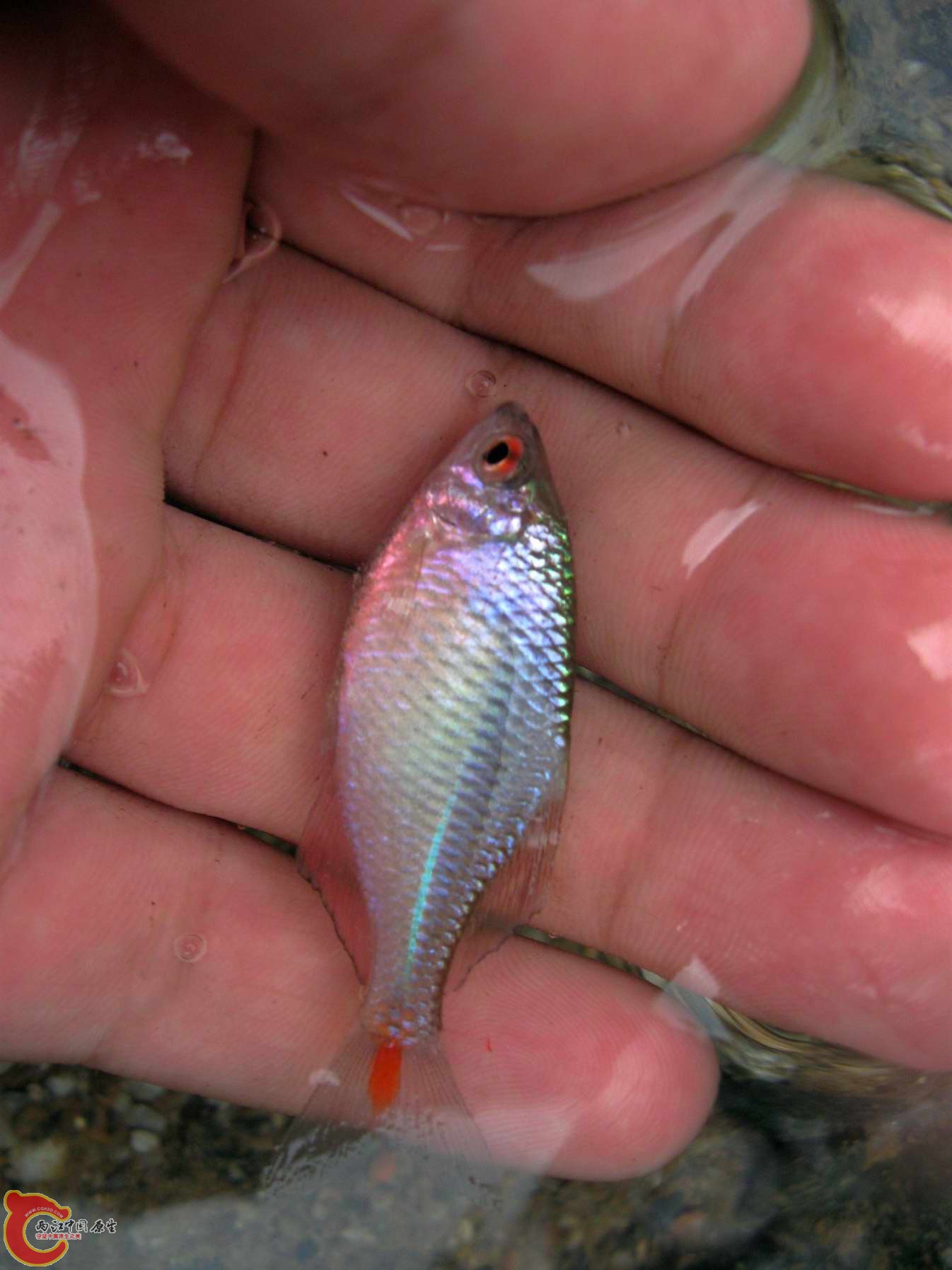 调整大小 照片 060.jpg