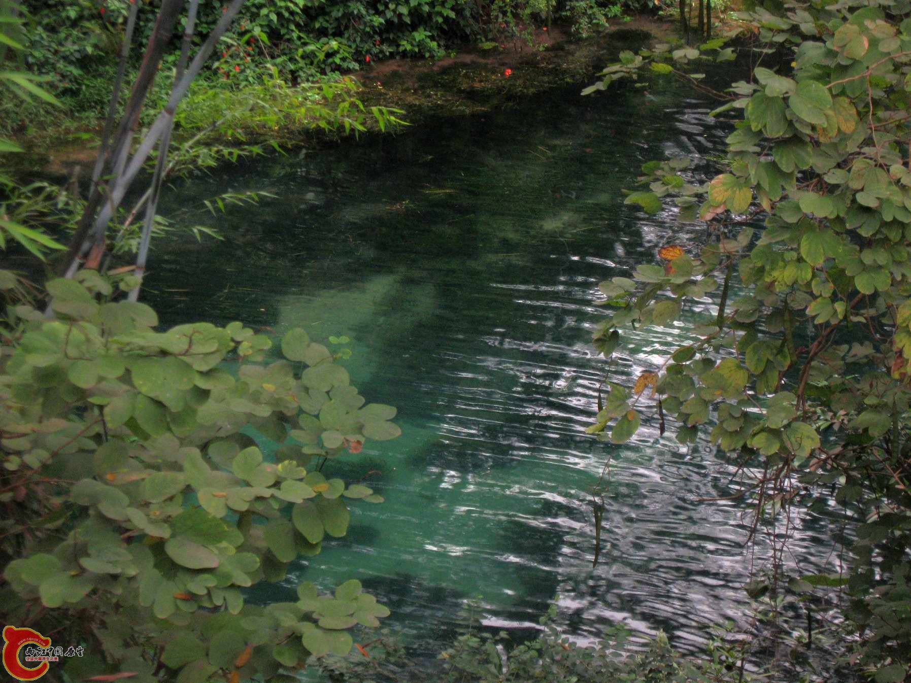 我在这里游了差不多两小时的泳过瘾哦.