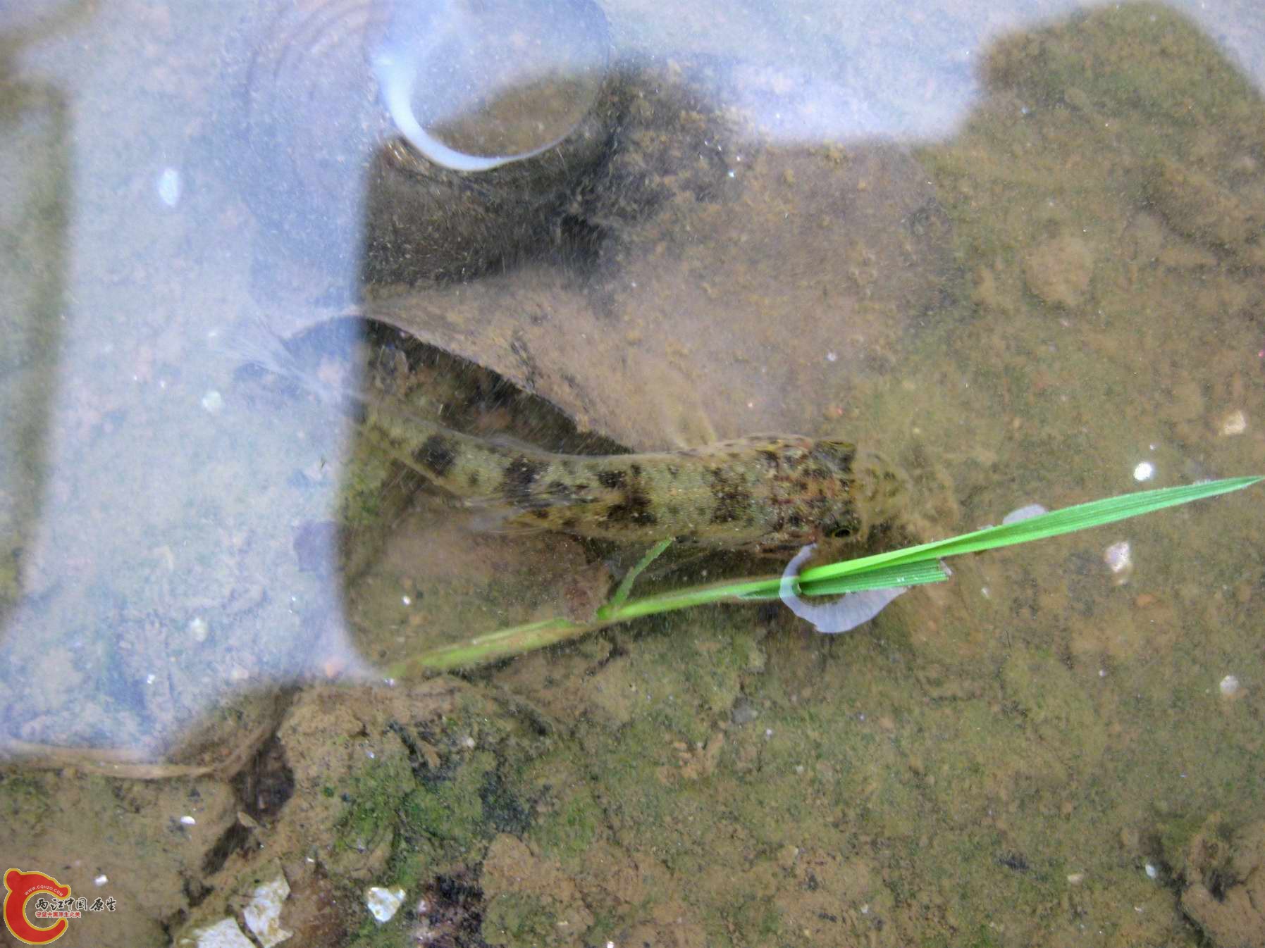 调整大小 照片 117.jpg