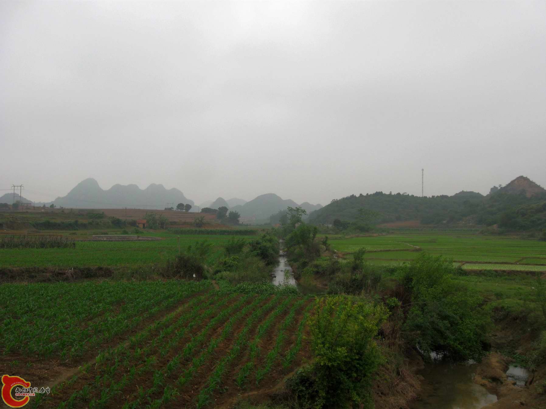 某水库流出来的小河要赶这回家没下去采.