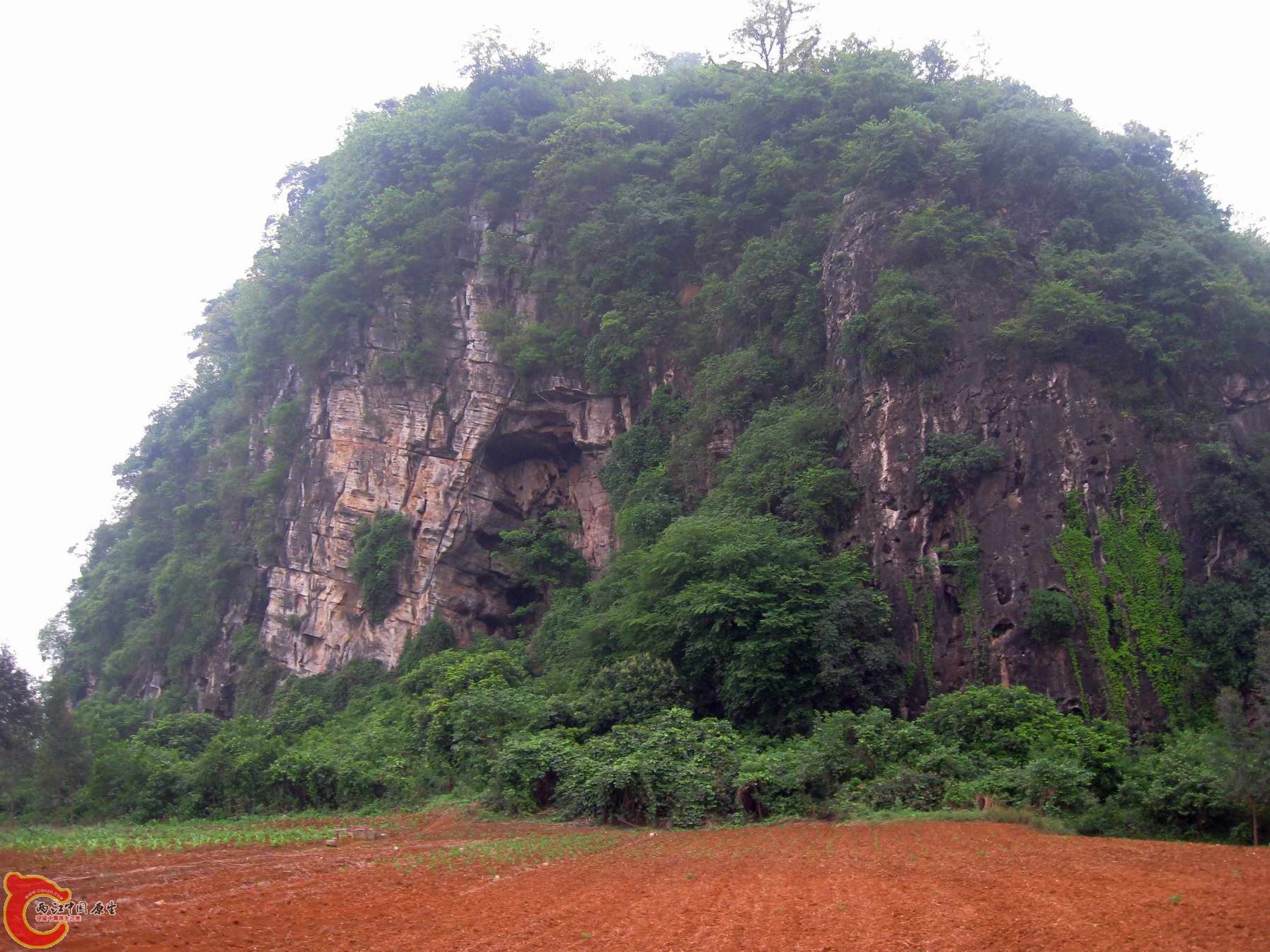 调整大小 照片 143.jpg