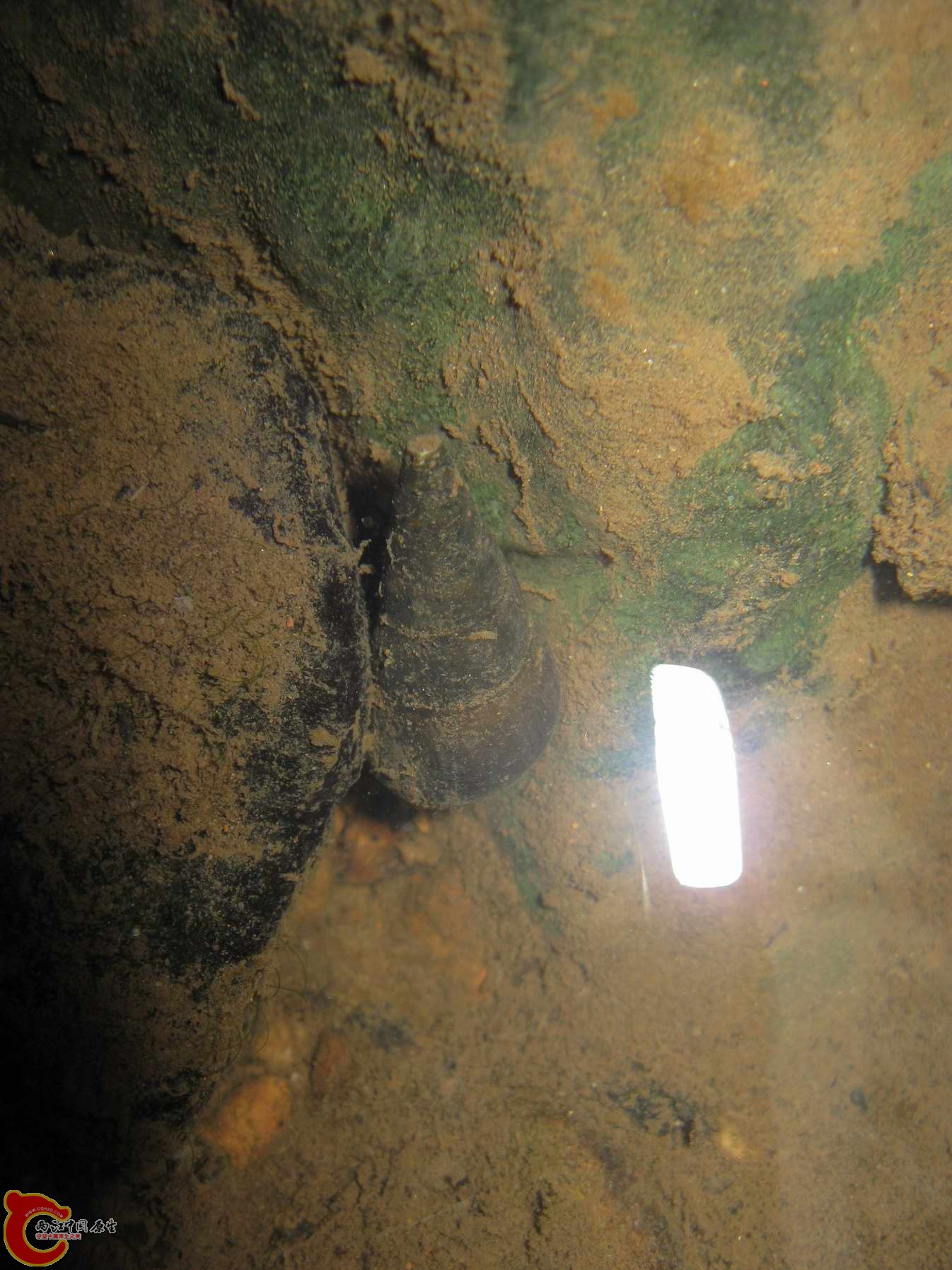 调整大小 照片 147.jpg