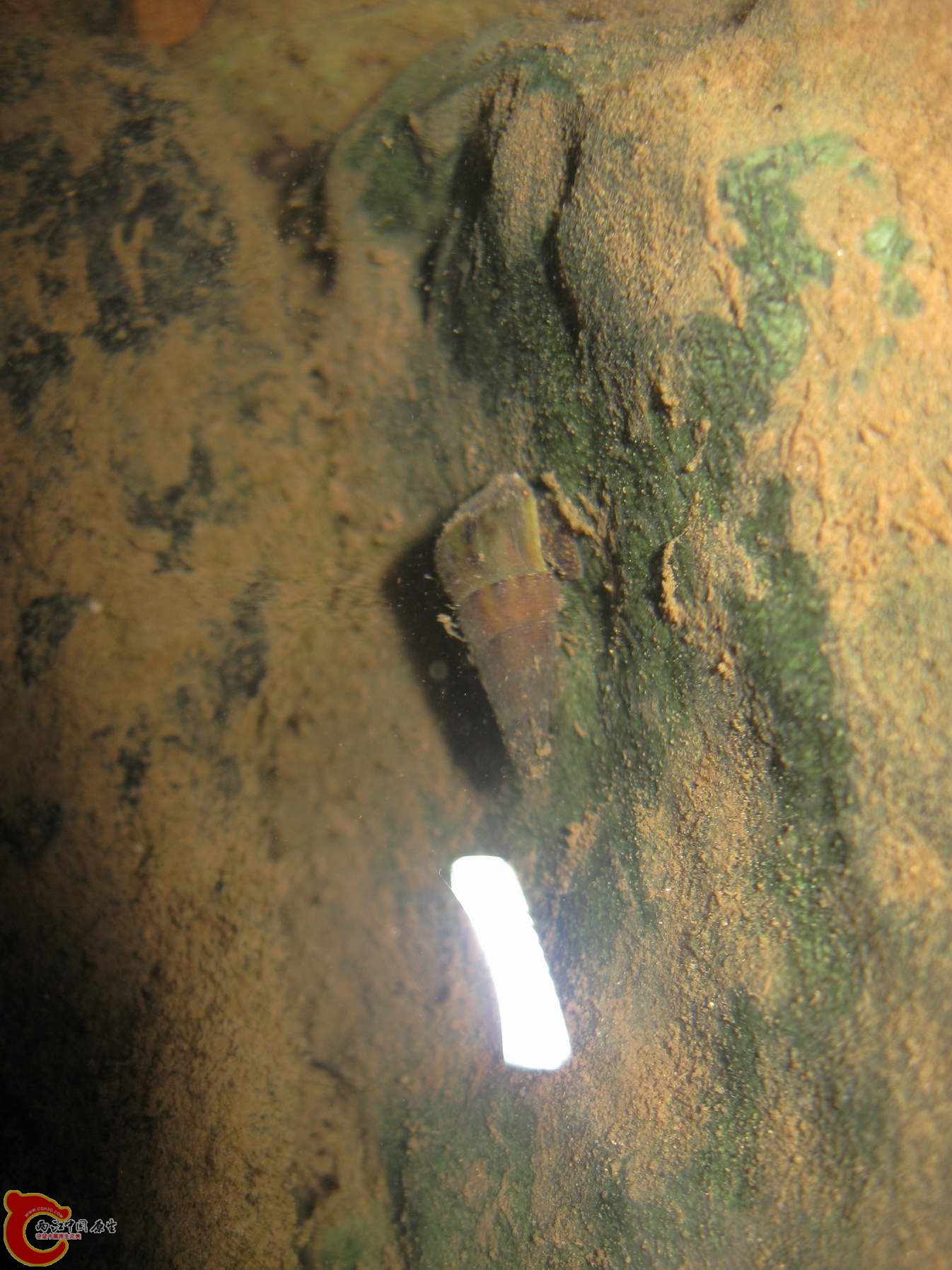 调整大小 照片 148.jpg