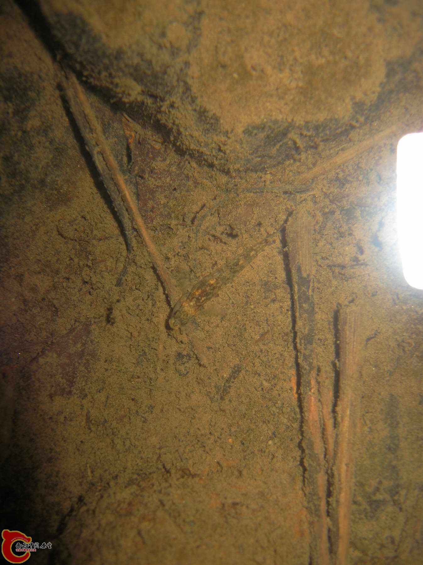 调整大小 照片 152.jpg