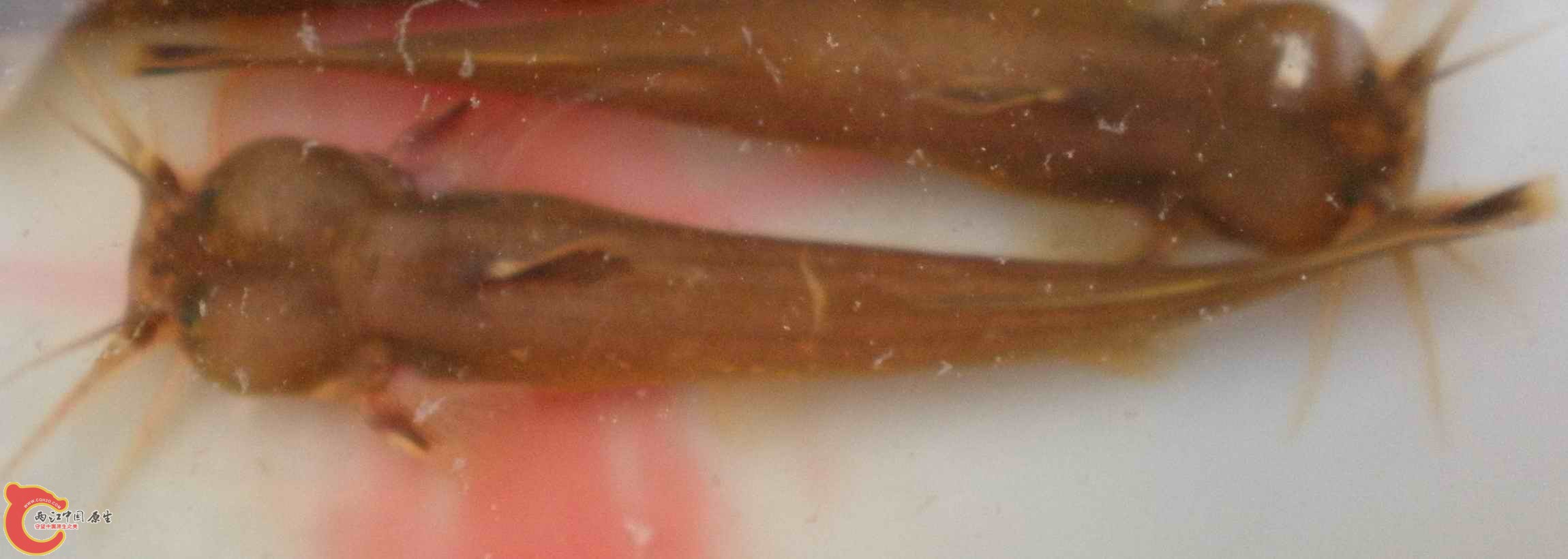 P4030731.JPG