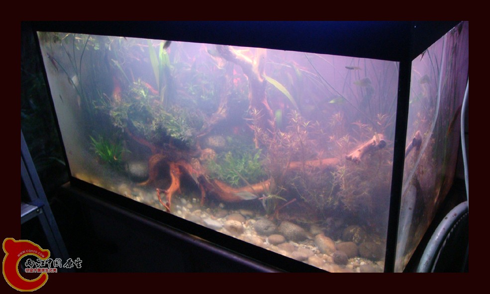 DSC01390.jpg DSC01390.jpg