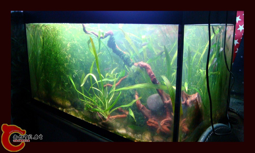 DSC01391.jpg DSC01391.jpg