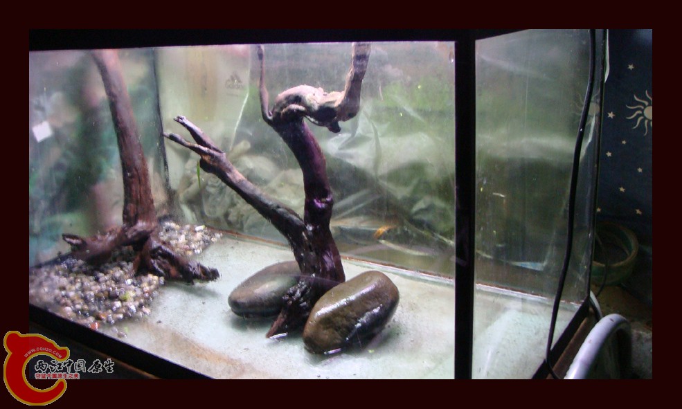 DSC01393.jpg DSC01393.jpg