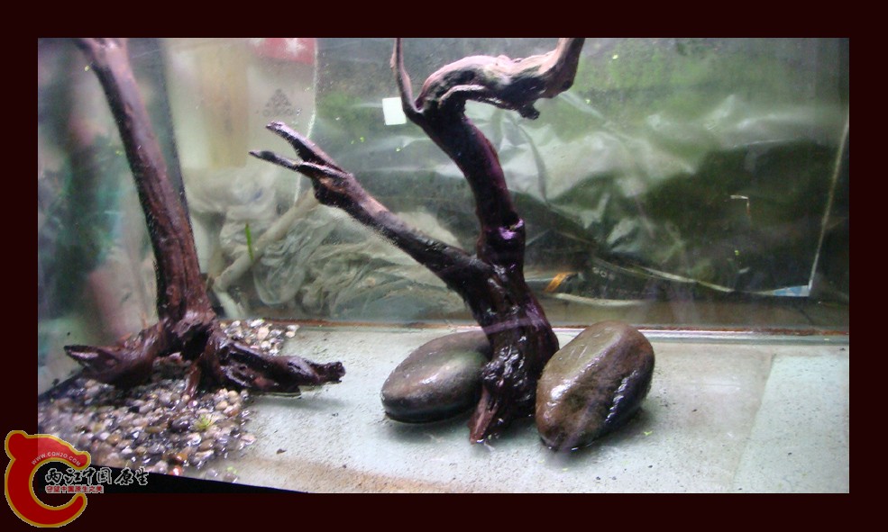 DSC01392.jpg DSC01392.jpg