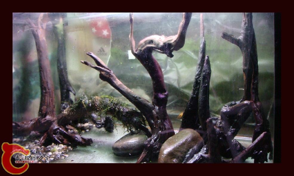 DSC01395.jpg DSC01395.jpg