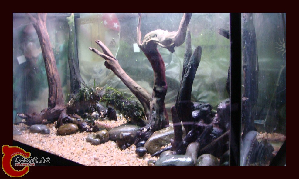 DSC01398.jpg DSC01398.jpg