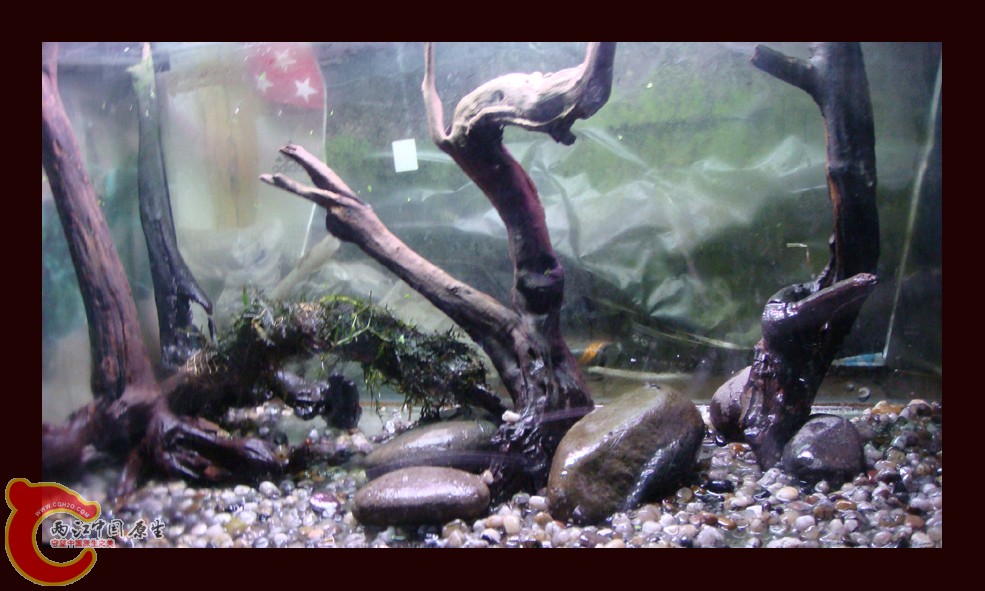 DSC01396.jpg DSC01396.jpg