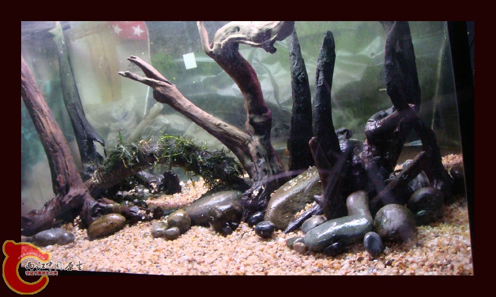 DSC01397.jpg DSC01397.jpg