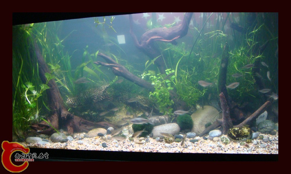 DSC01409.jpg DSC01409.jpg